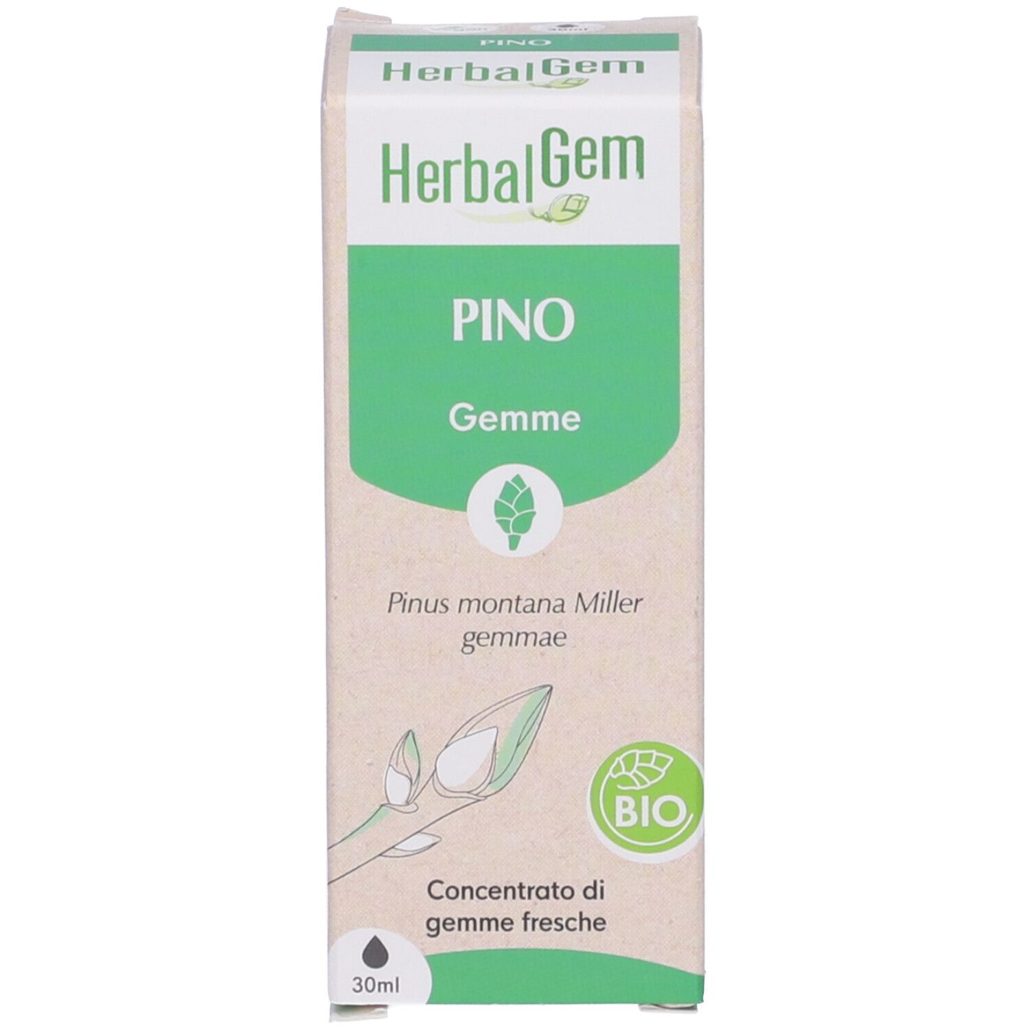 Herbalgem Pino Gemme Concentrato di Gemme Fresche Gocce