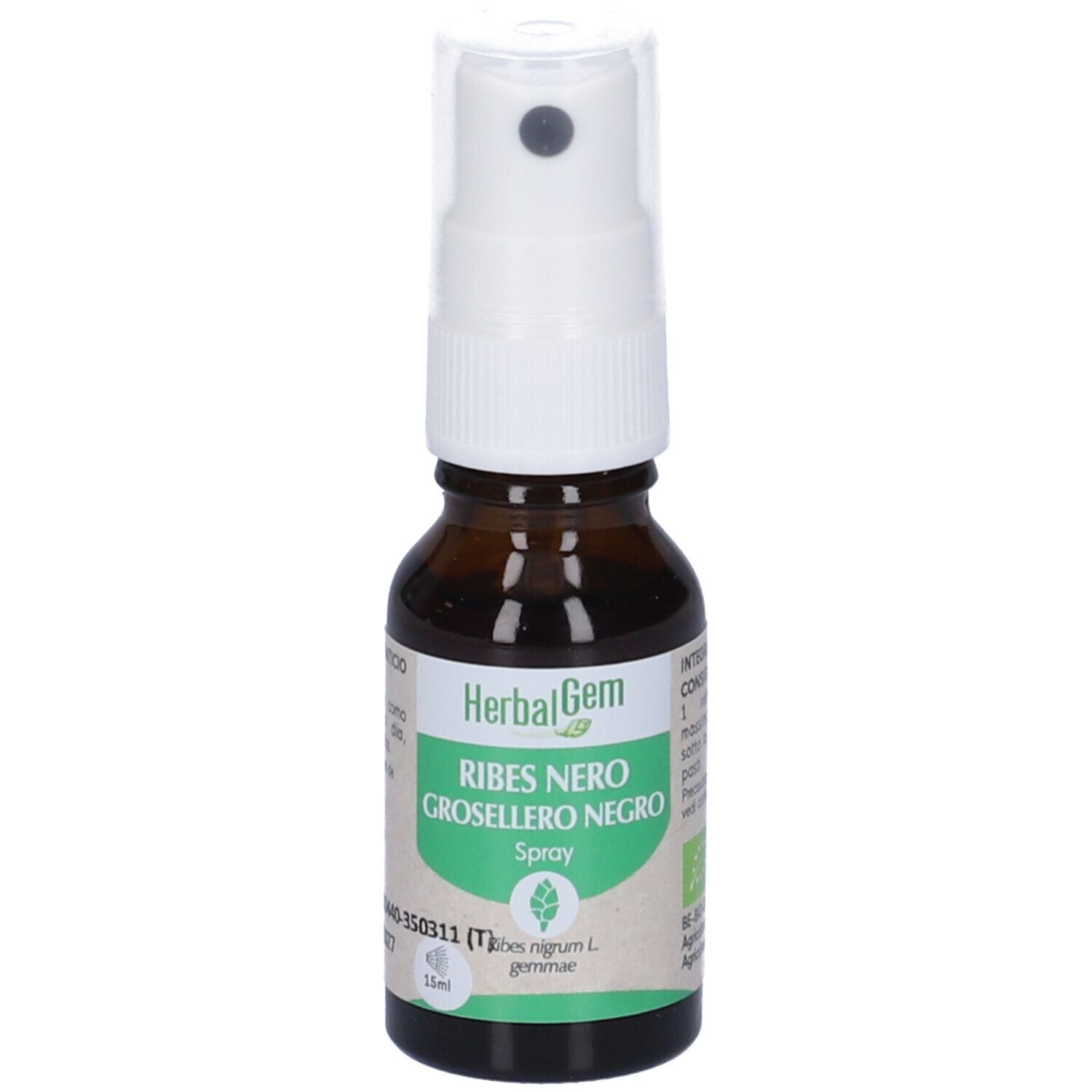 Herbalgem Ribes Nero Gemme Concentrato di Gemme Fresche Gocce