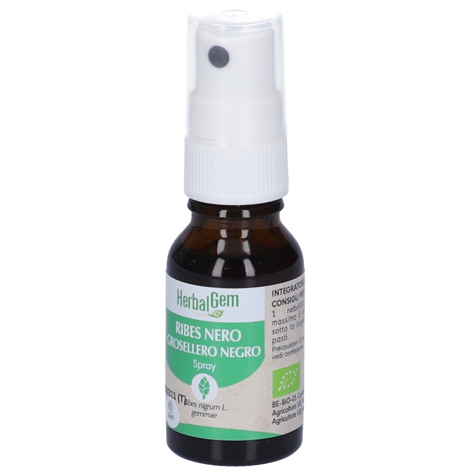 Herbalgem Ribes Nero Gemme Concentrato di Gemme Fresche Gocce