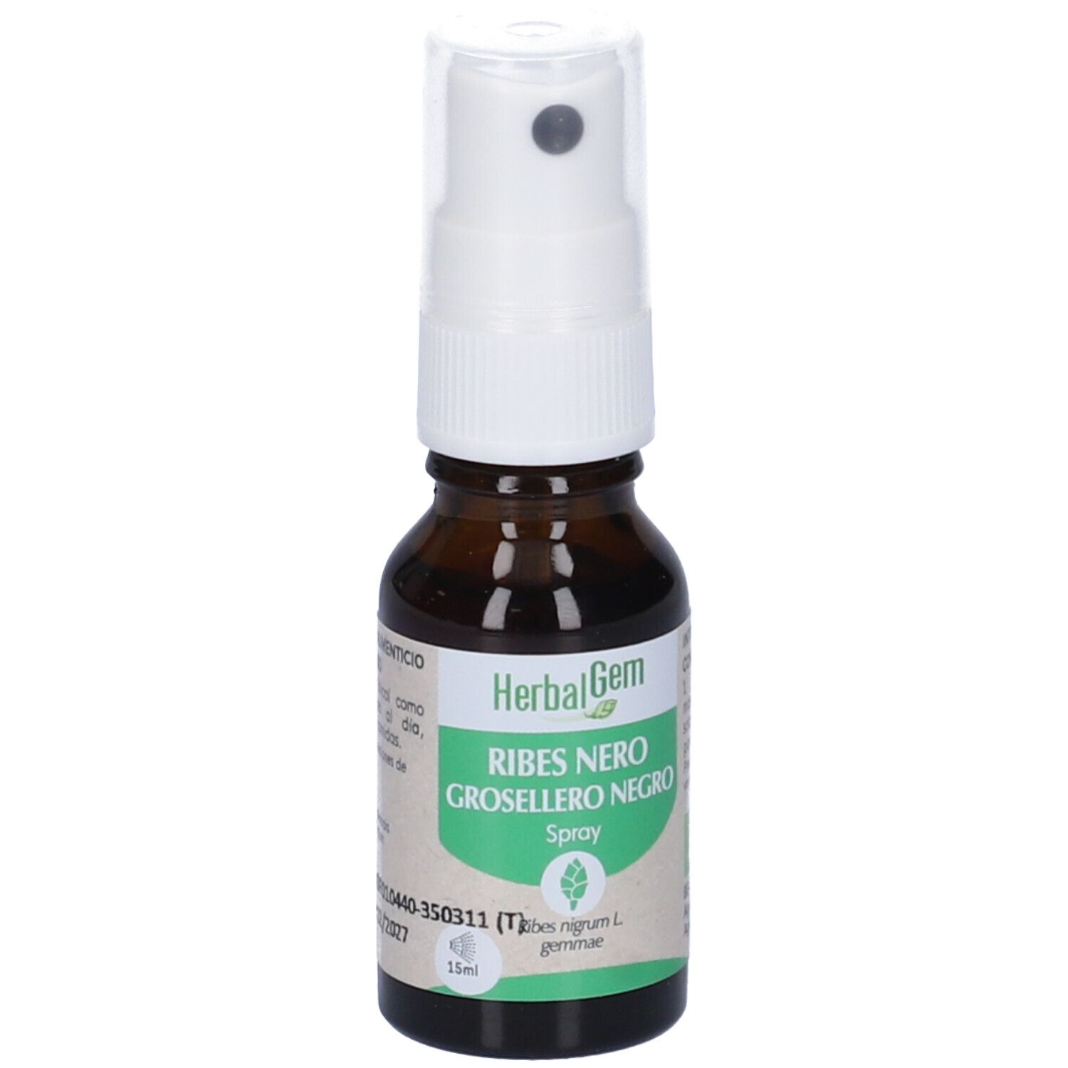 Herbalgem Ribes Nero Gemme Concentrato di Gemme Fresche Gocce