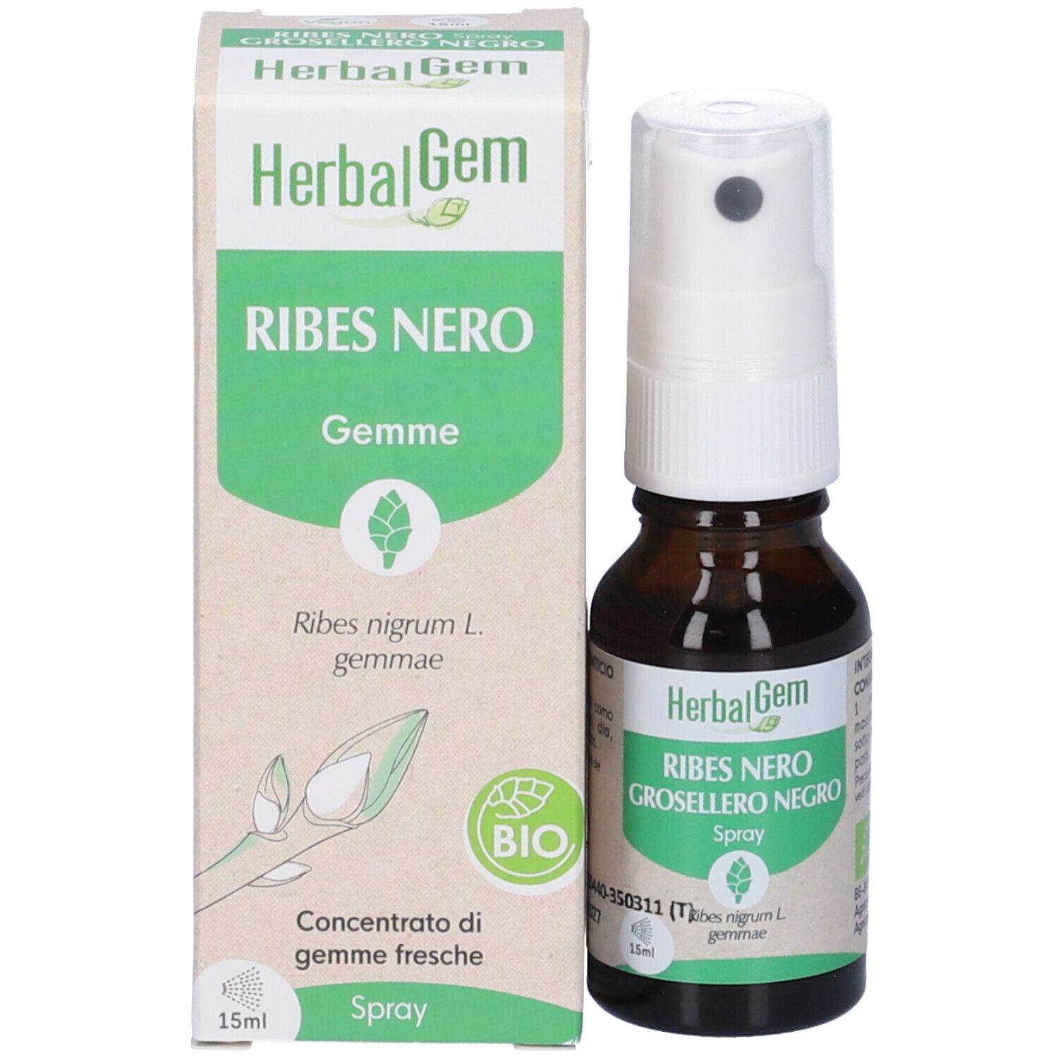 Herbalgem Ribes Nero Gemme Concentrato di Gemme Fresche Gocce