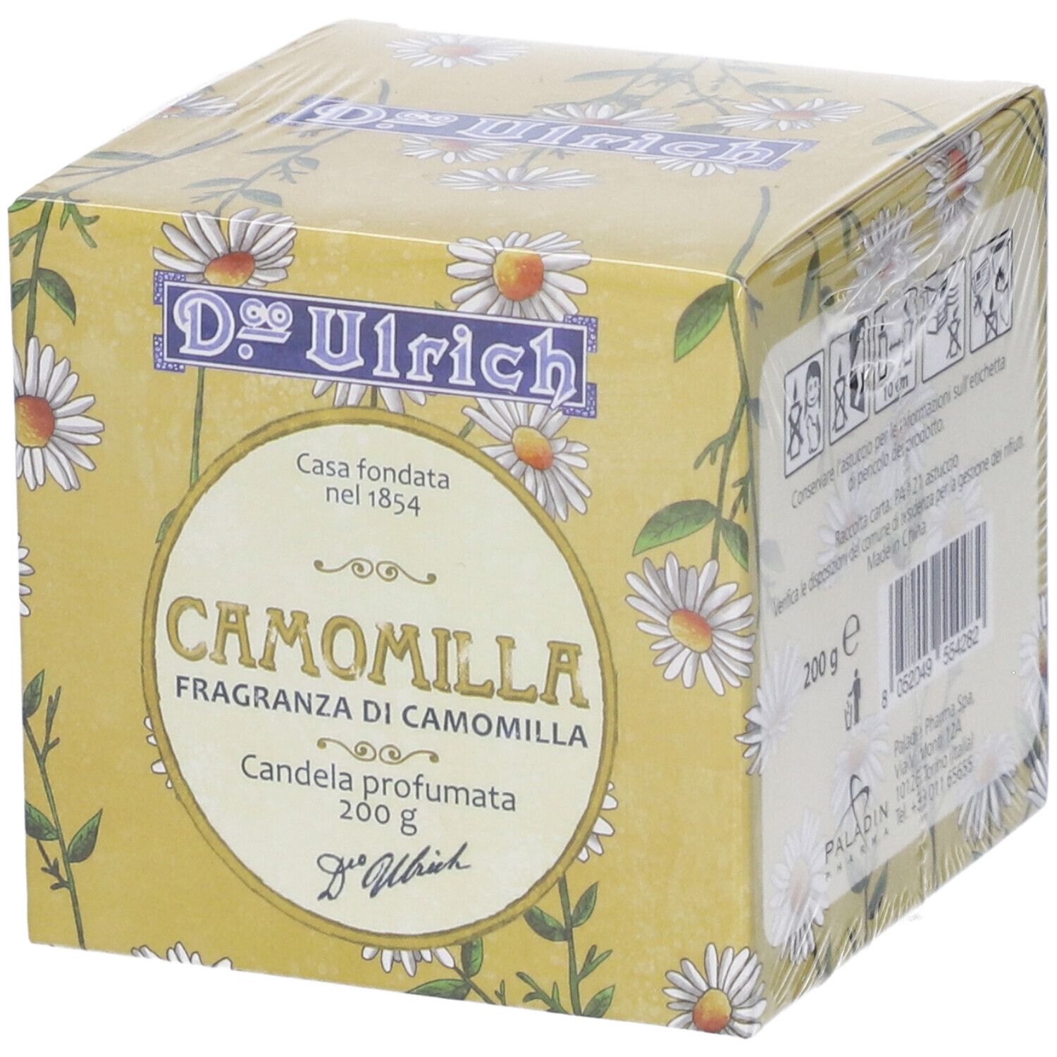 Ulrich Candela Camomilla