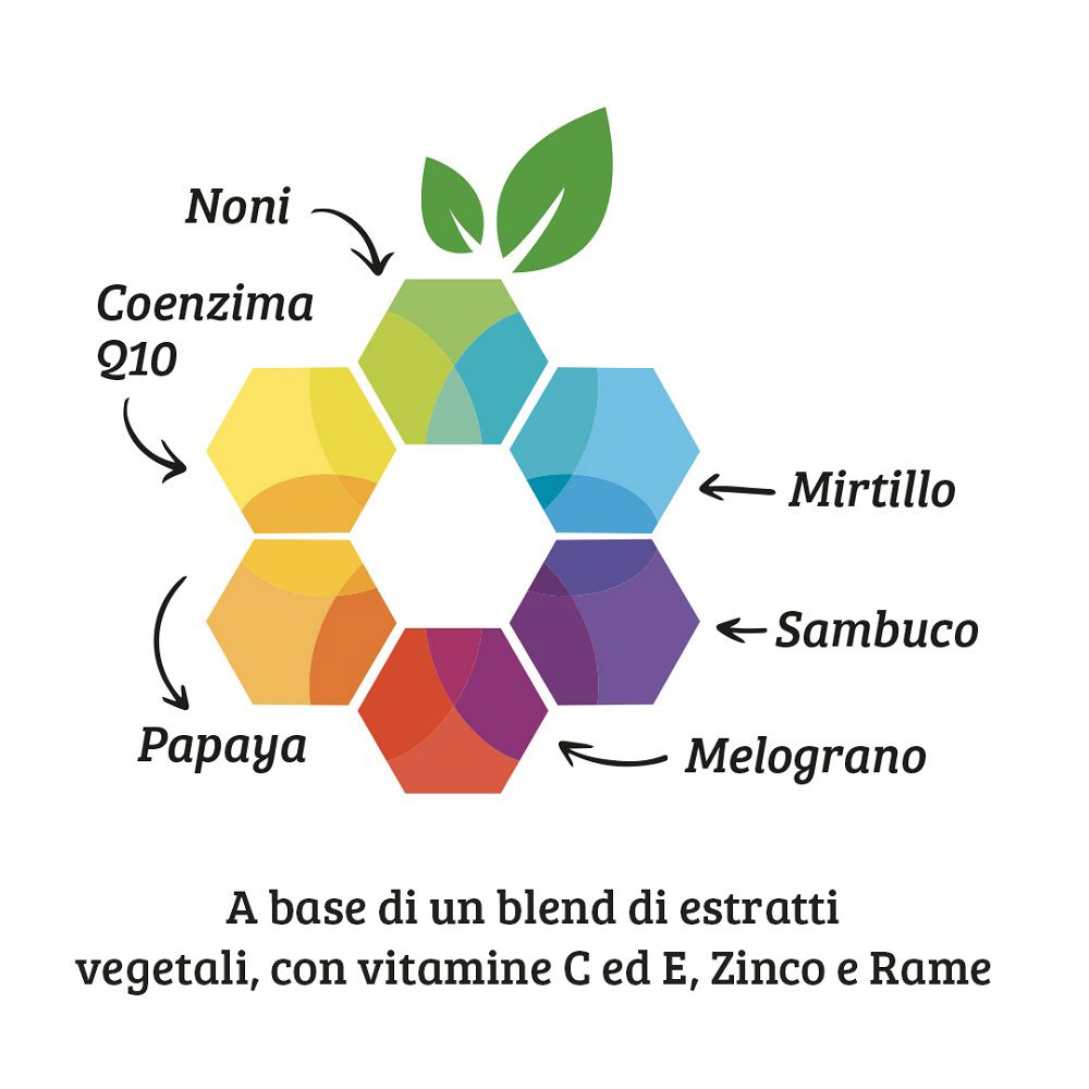 Grafica degli ingredienti: Noni, Coenzima Q10, Papaya, Mirtillo, Sambuco, Melograno.