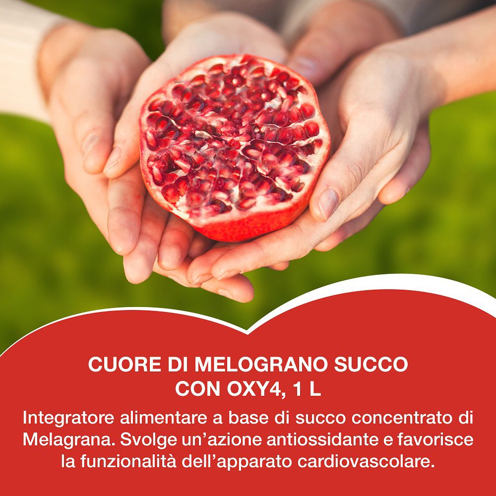 Mani che tengono una metà di melagrana tagliata con i suoi semi.