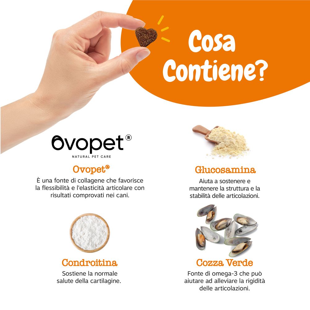 Zesty Paws® Hips & Joint Chews Integratore Mobilità