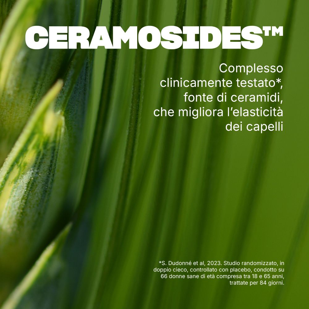 Primo piano di foglie verdi con testo. Descrive Ceramosides, un prodotto clinicamente testato.