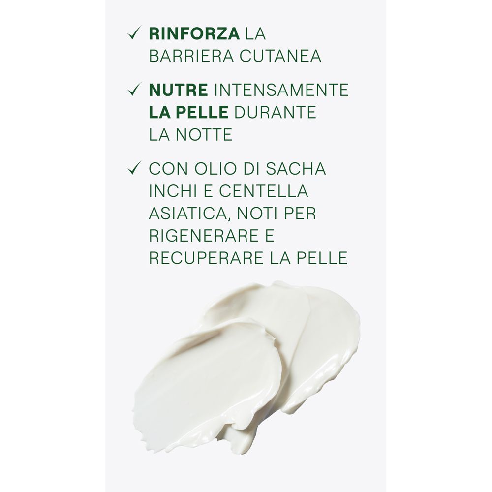 Primo piano di crema. Testo: Rinforza la barriera cutanea, nutre intensamente, con olio di Sacha Inchi e Centella Asiatica.