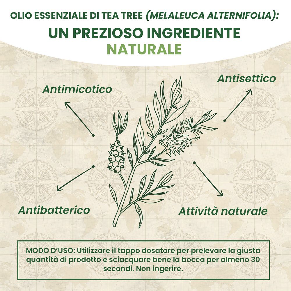 Ramo di tea tree con frecce verso 'Antimicotico', 'Antisettico', 'Antibatterico'.