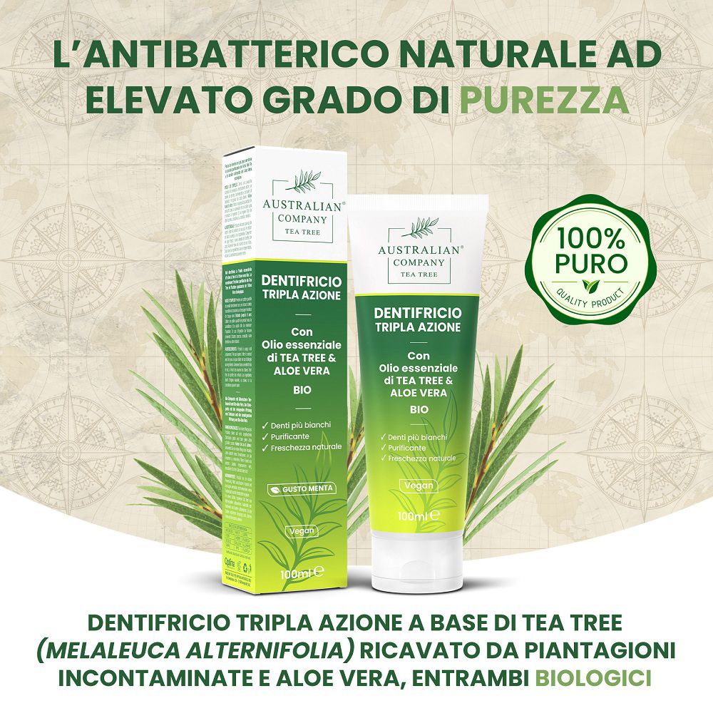 Tubo di dentifricio e scatola in cartone con olio di tea tree e aloe vera.
