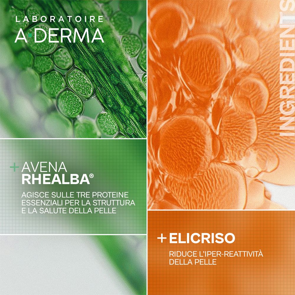 Ingredienti Avena Rhealba ed Elicriso in A-Derma Exomega.