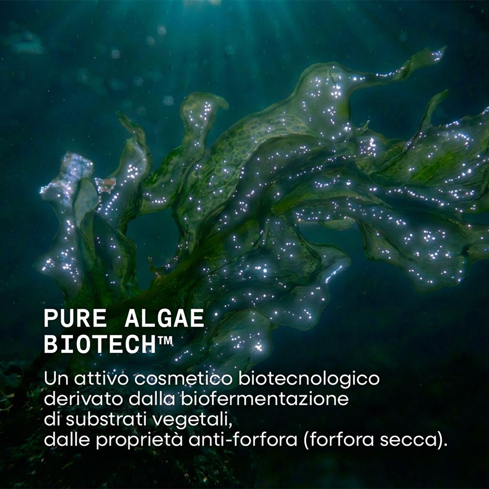 Immagine subacquea di alghe con testo su Pure Algae Biotech.
