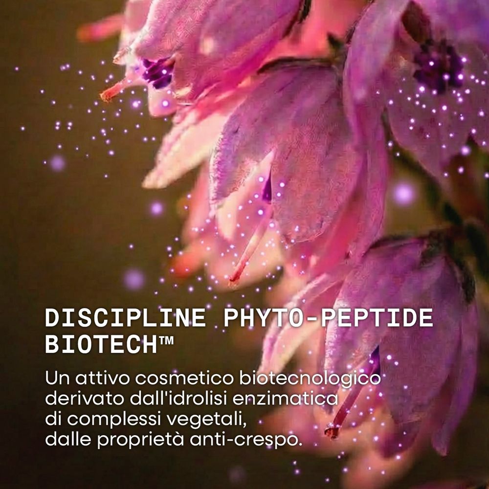 Primo piano di fiori viola con particelle fluttuanti. Testo: DISCIPLINE PHYTO-PEPTIDE BIOTECH™.