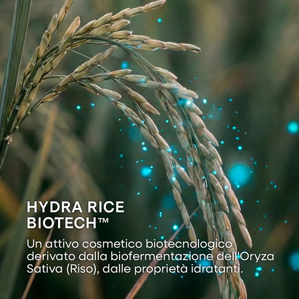 Hydra Rice Biotech: attivo cosmetico biotecnologico derivato dalla fermentazione del riso.