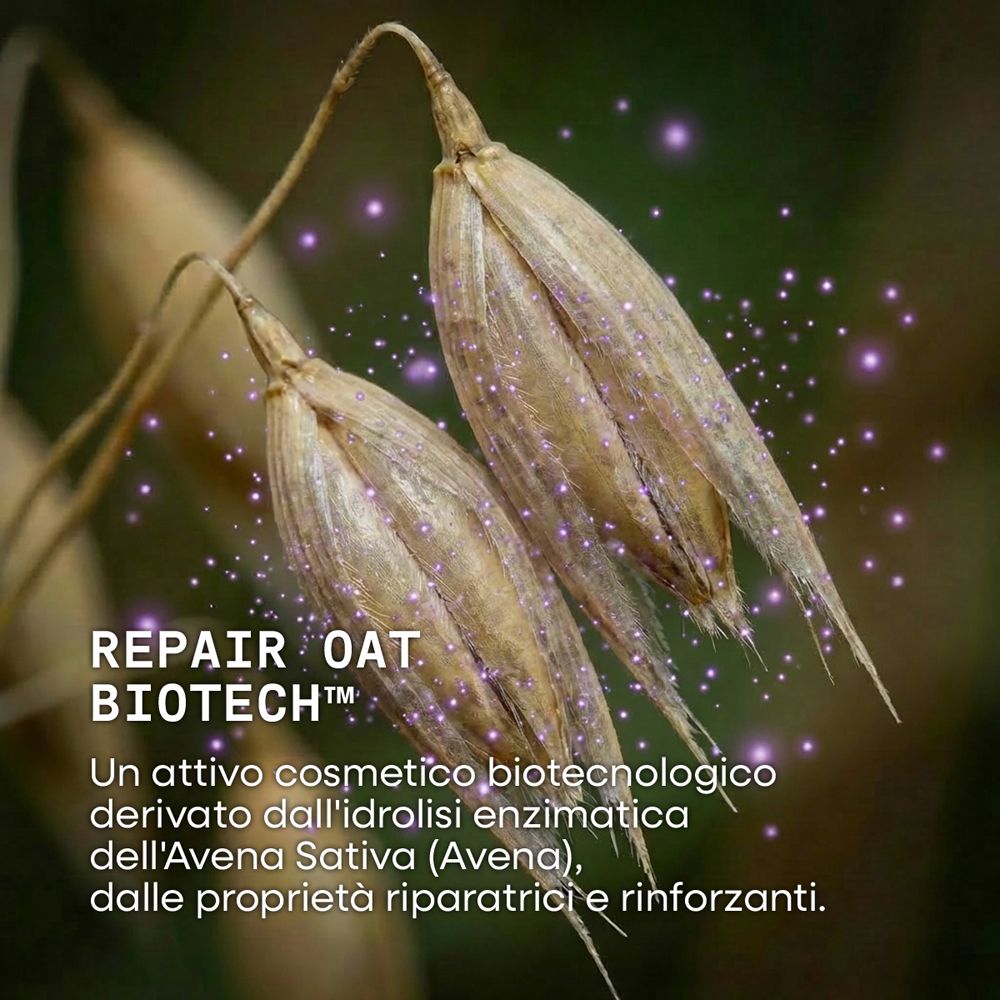 Primo piano di spighe d'avena con scritta "Repair Oat Biotech".