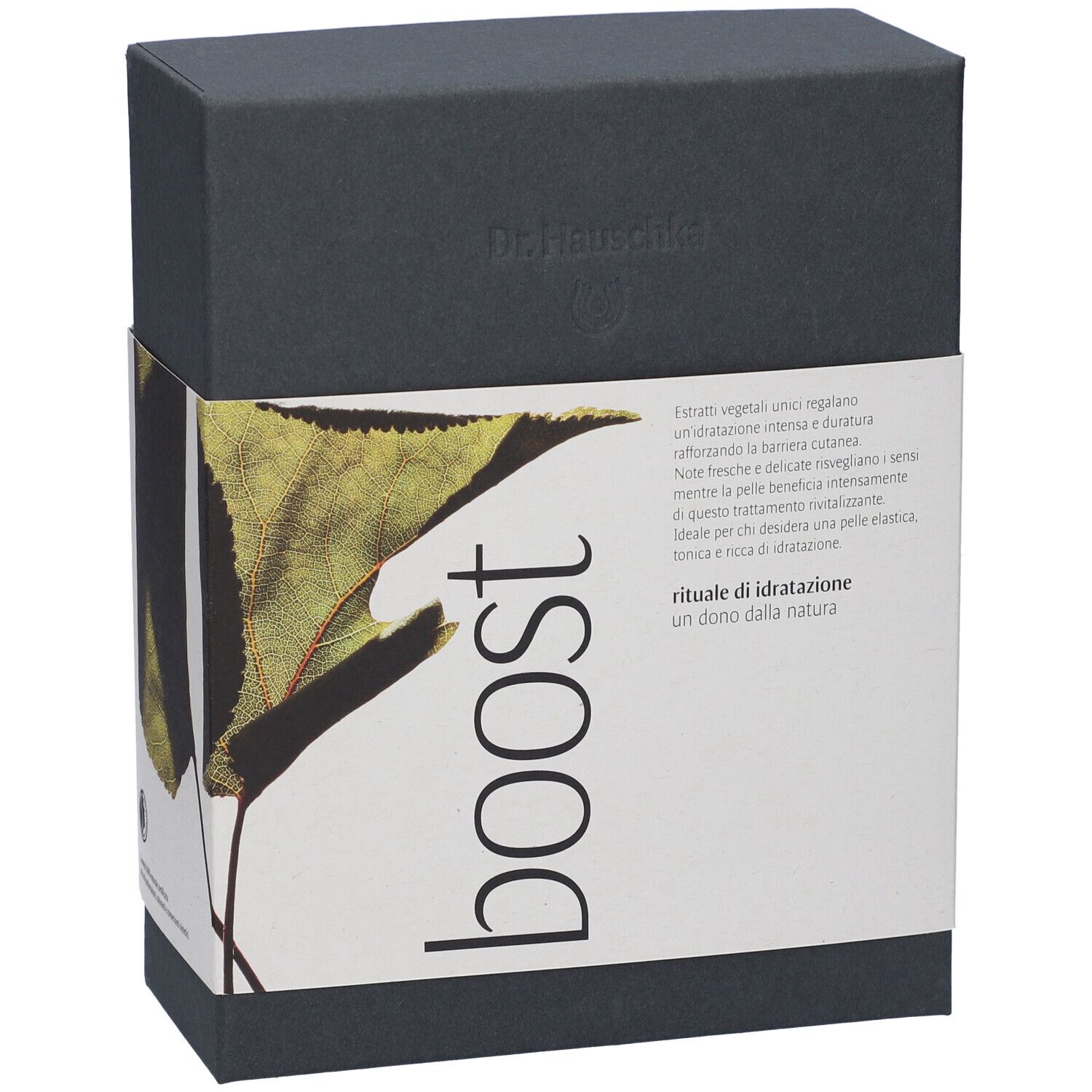Set cura corpo Dr. Hauschka Boost in scatola scura con motivo a foglia.