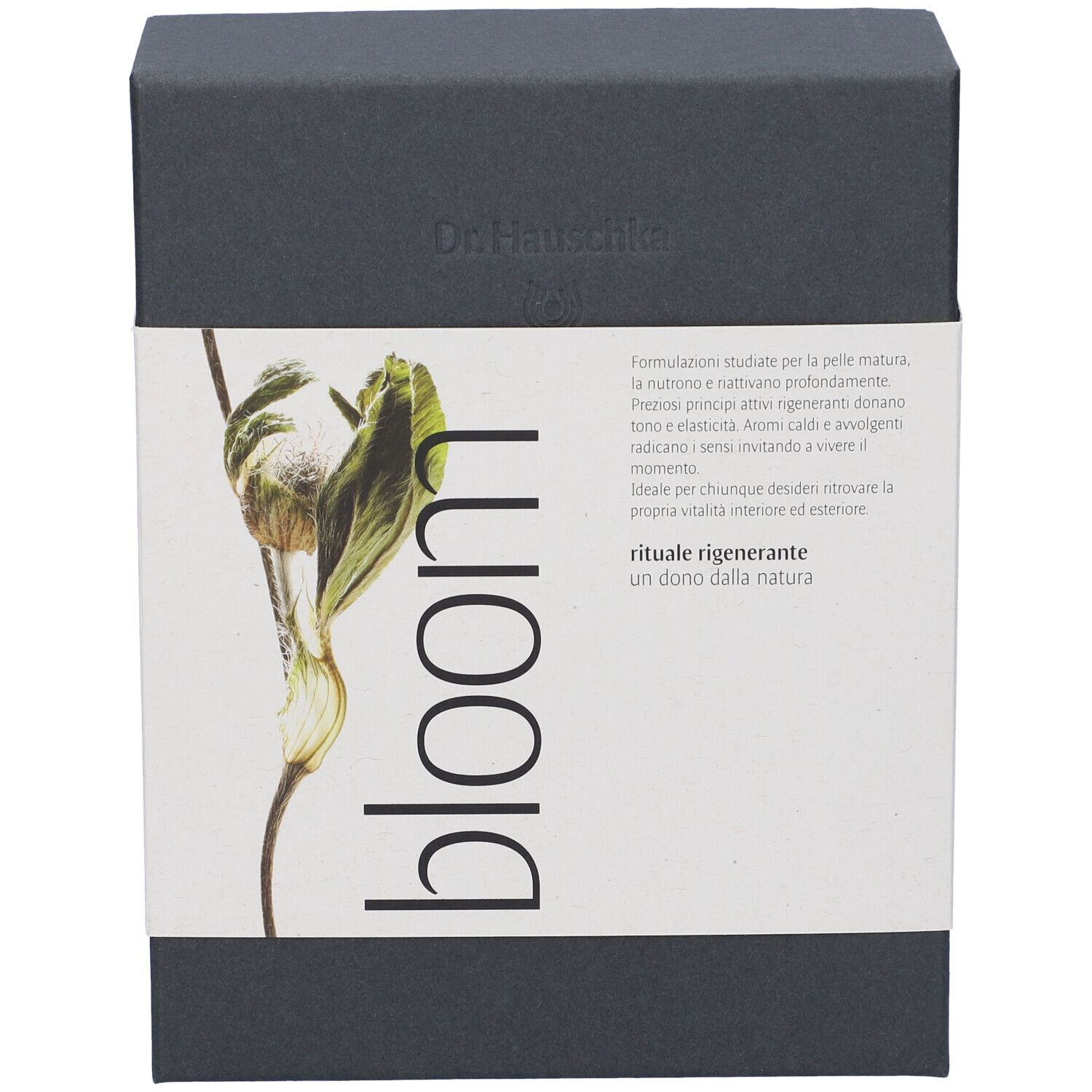 Confezione regalo Dr. Hauschka "bloom" con motivo floreale e informazioni sul prodotto.