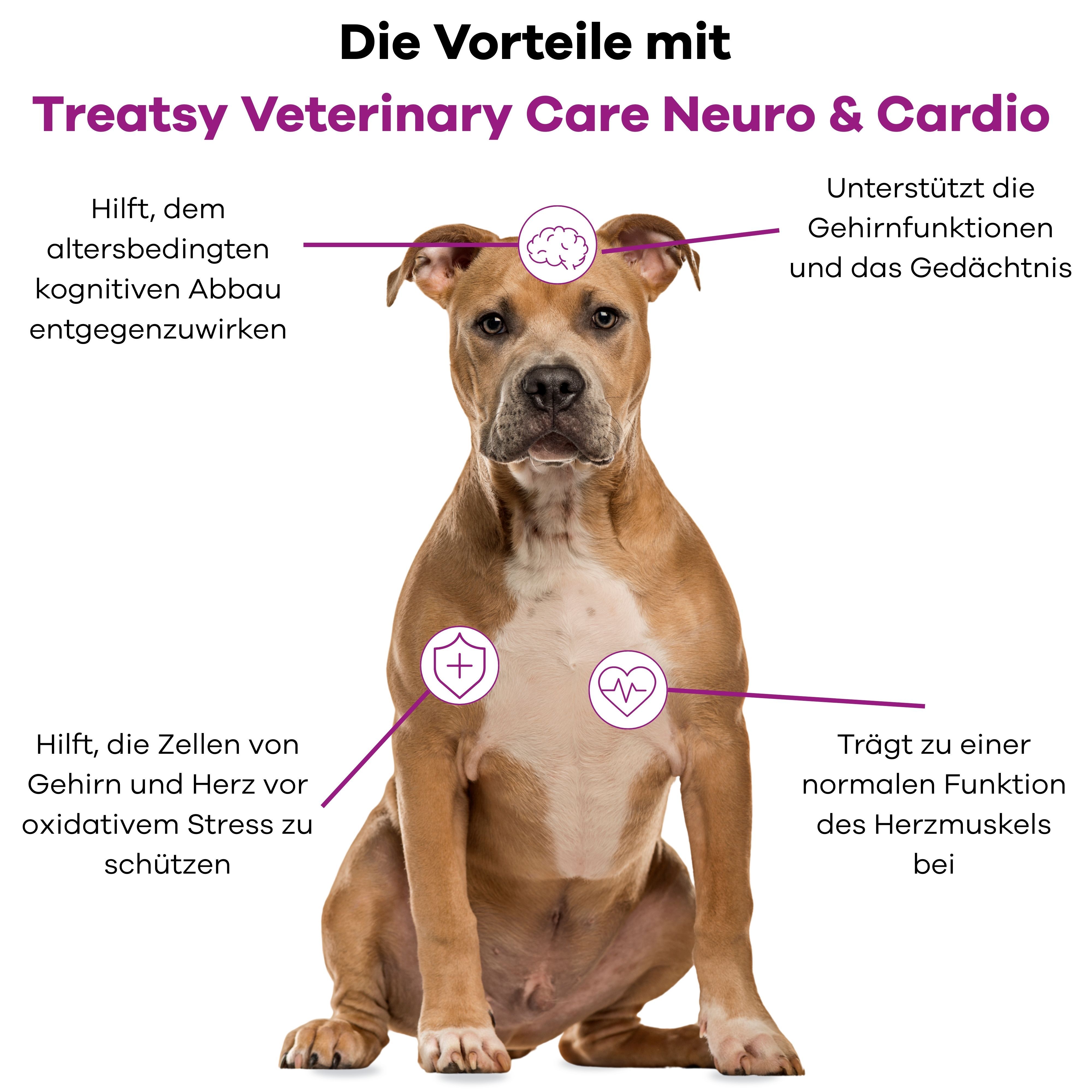 Cane seduto. Diagramma dei vantaggi di Neuro & Cardio. Testo: Aiuta a proteggere le cellule, supporta le funzioni cerebrali.