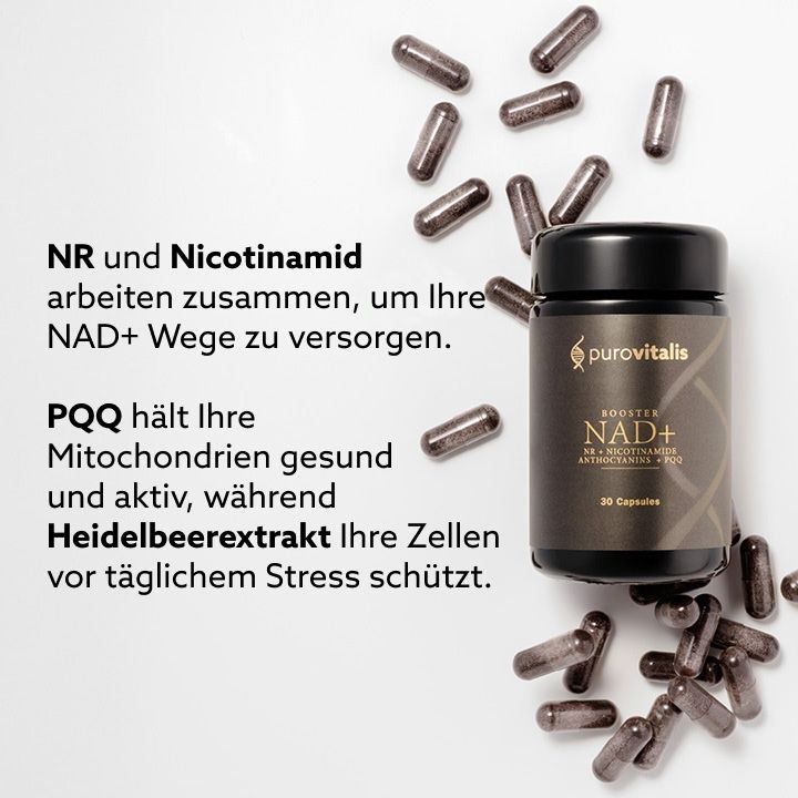 Barattolo e capsule su sfondo bianco. Testo: NR e Nicotinamide agiscono insieme. PQQ mantiene sani i mitocondri. Estratto di mirtillo protegge.