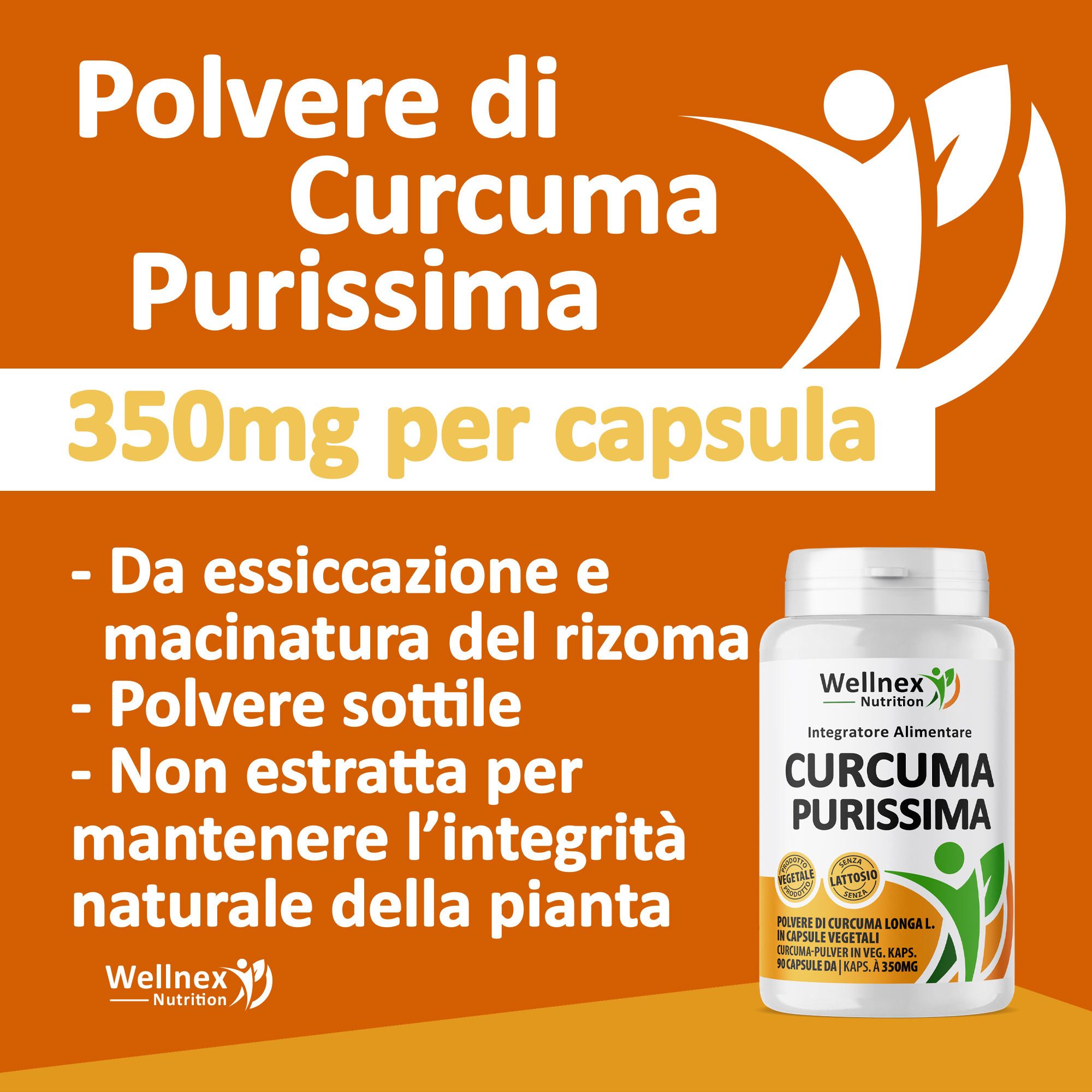 Wellnex Nutrition Curcuma Purissima Polvere - Curcuma Longa - 90 Capsule Vegetali
