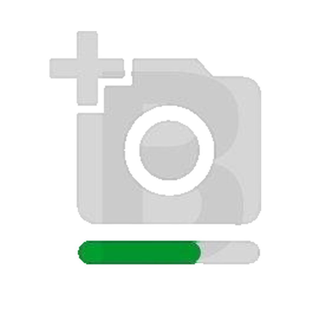 Icona segnaposto per un'immagine con una barra di avanzamento verde nella parte inferiore.