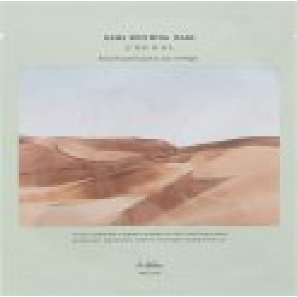 Paesaggio con dune di sabbia e cielo.