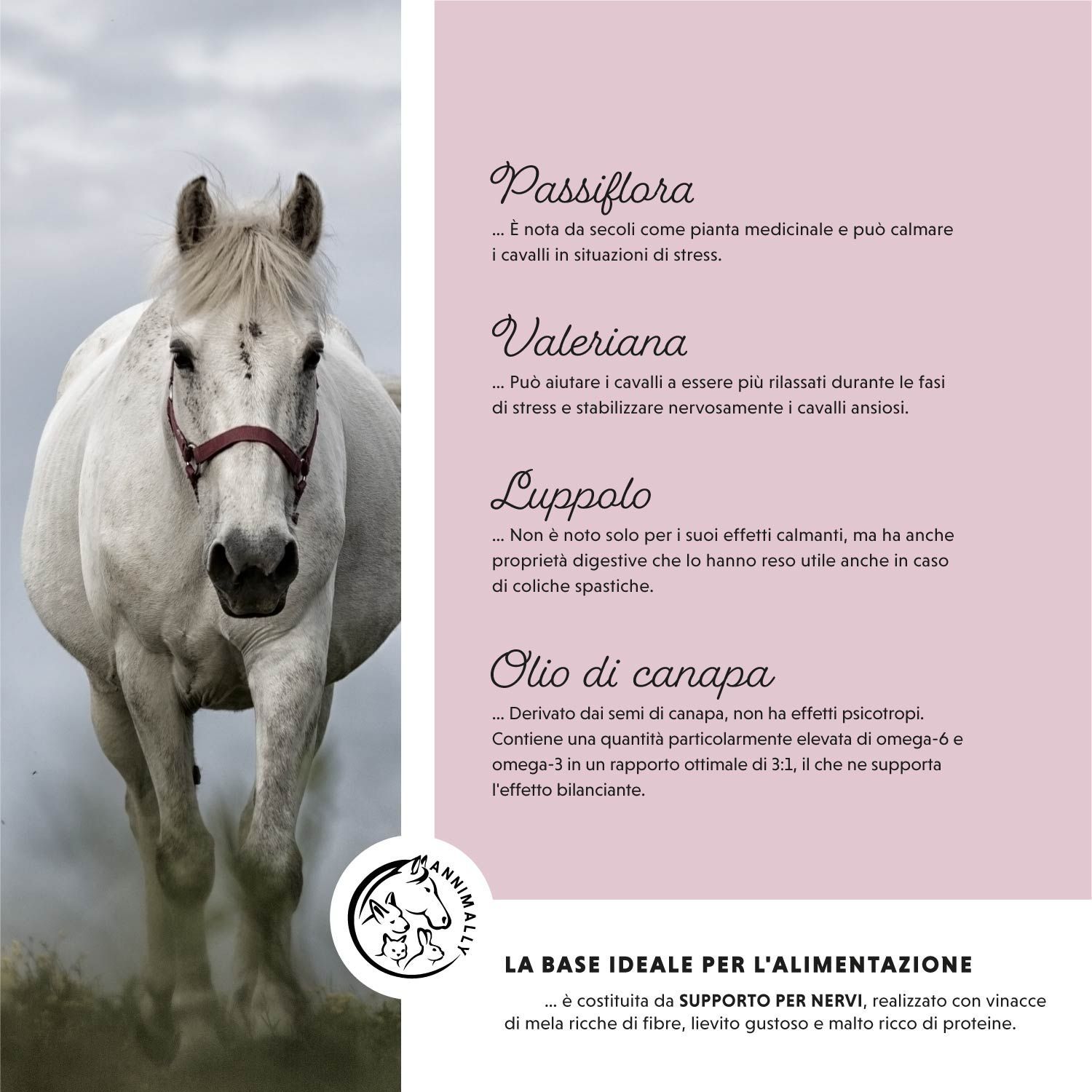 Testo sugli ingredienti: Passiflora, Valeriana, Luppolo, Olio di canapa. Logo: Annimally. Immagine: cavallo al galoppo.