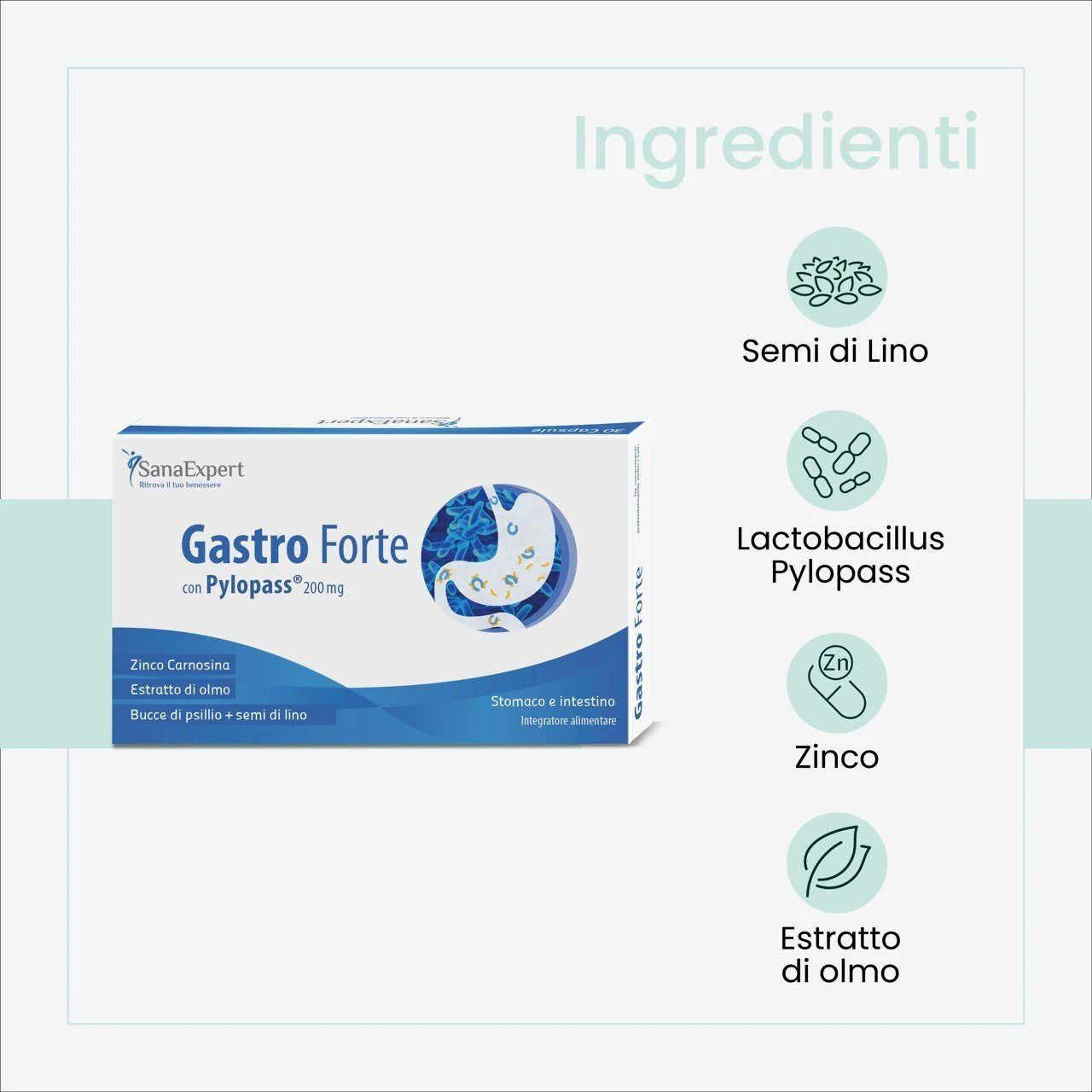 Ingredienti di Gastro Forte. Contiene zinco, estratto di olmo, bucce di psillio e semi di lino.