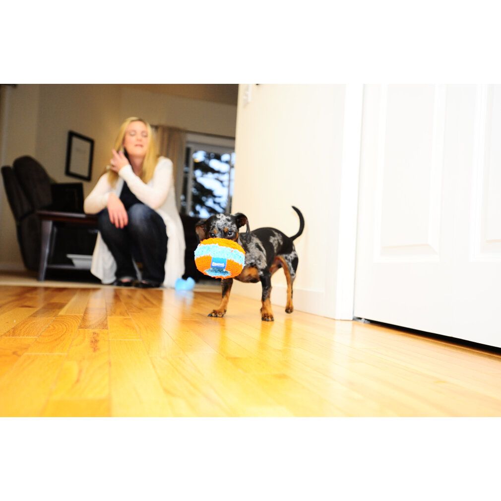 Chuckit Indoor Roller 12 cm