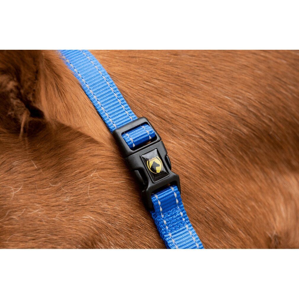 Dettaglio cavezza blu con chiusura nera e logo. Su pelo marrone.