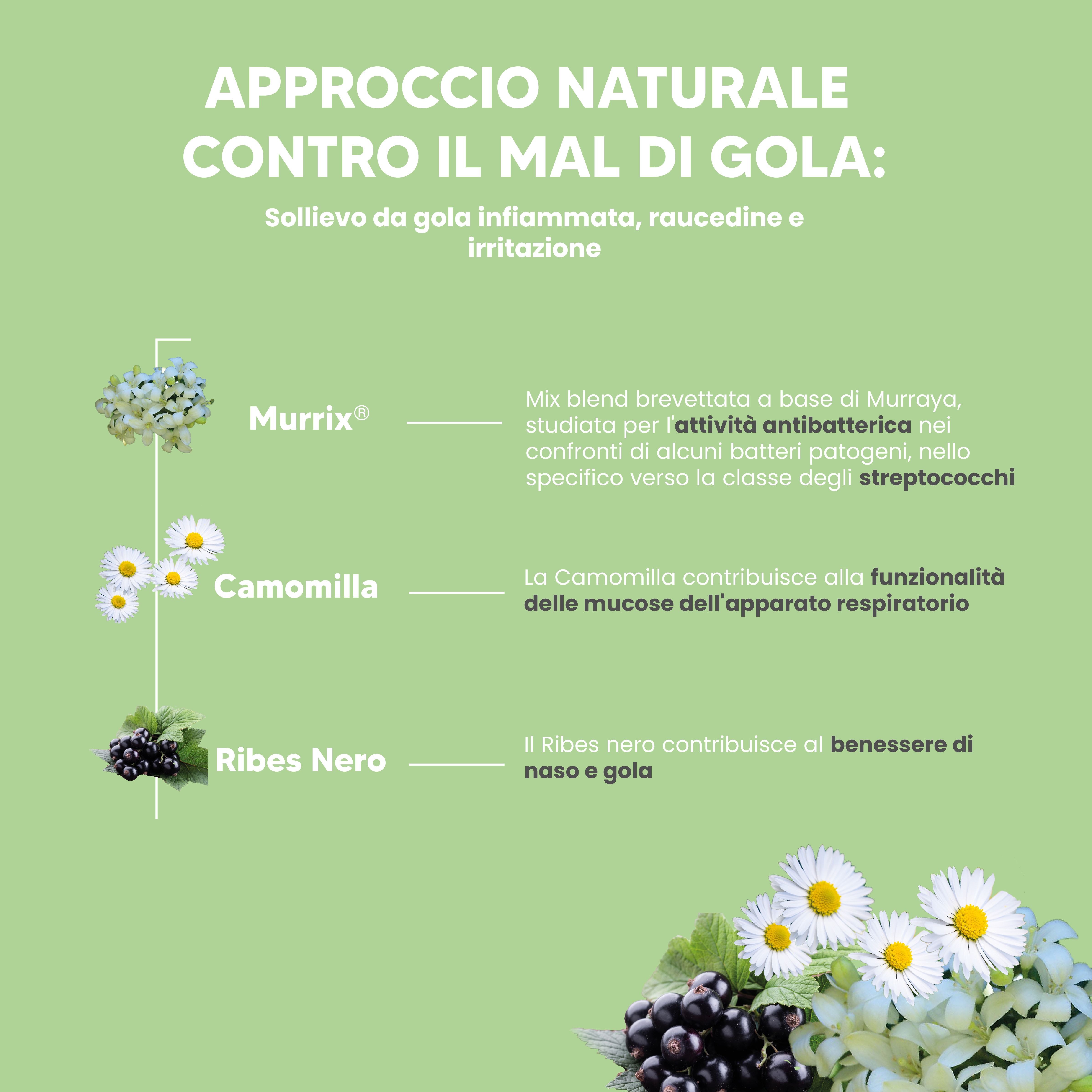 NTP Biotech- Murrixina Spray Junior – Spray orale per il benessere delle vie orofaringee