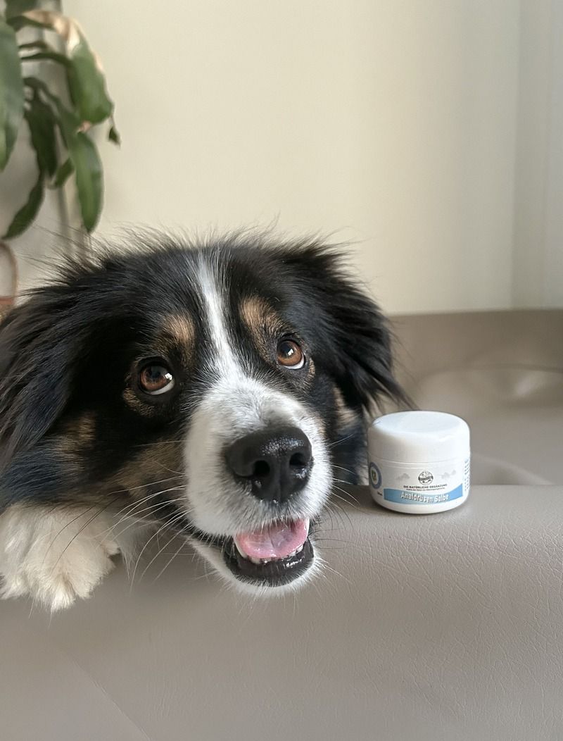 Bellfor Pomata per le ghiandole anali dei cani
