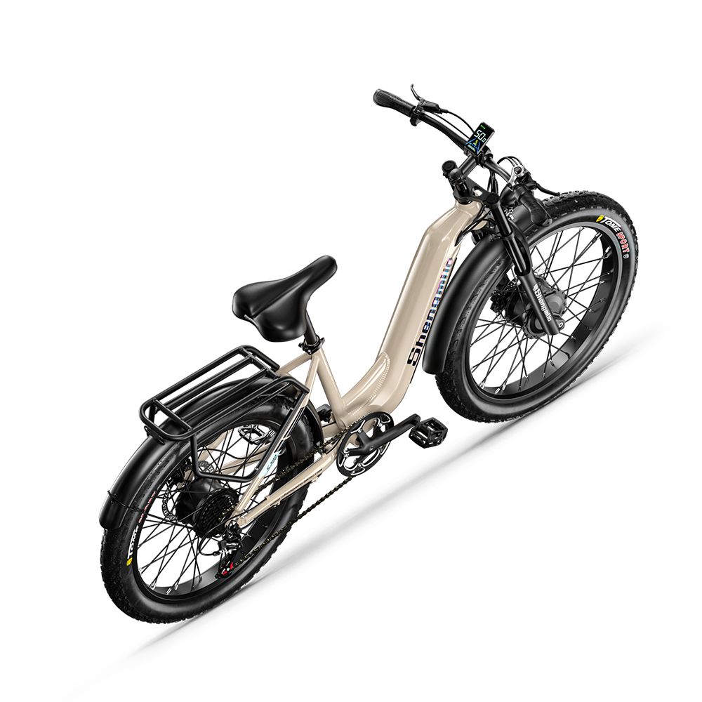 E-bike, vista diagonale dall'alto. Telaio beige, pneumatici neri. Portapacchi e parafanghi.