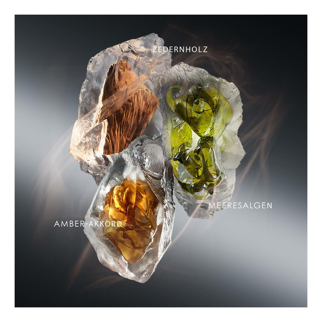Blocchi di ghiaccio con legno di cedro, alghe marine e accordo ambrato. Scritta.
