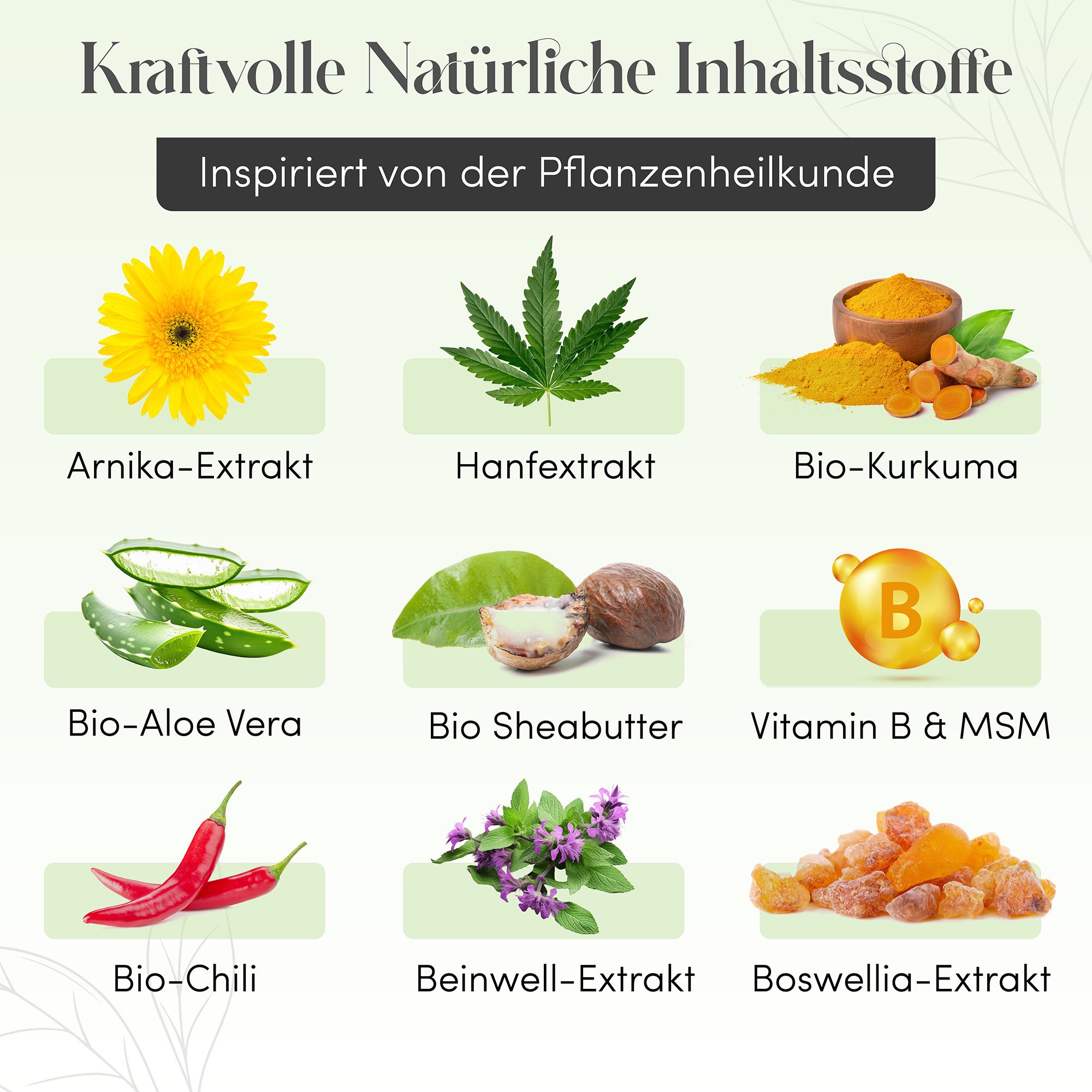 Illustrazioni di ingredienti: arnica, canapa, curcuma, aloe vera, burro di karité, vitamina B, peperoncino, consolida, boswellia. Ispirato alla fitoterapia.