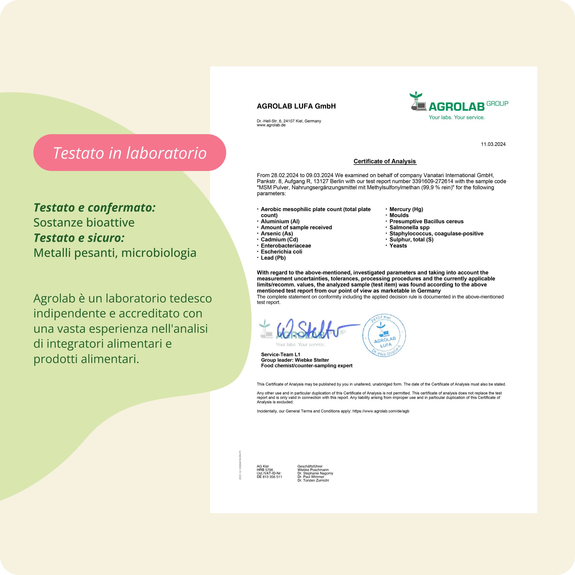 Busta di polvere MSM VEGAVERO. Testo: MSM cristallino. 1 kg MSM, 99,9% puro, fattore mesh 40-80, con misurino, senza additivi.