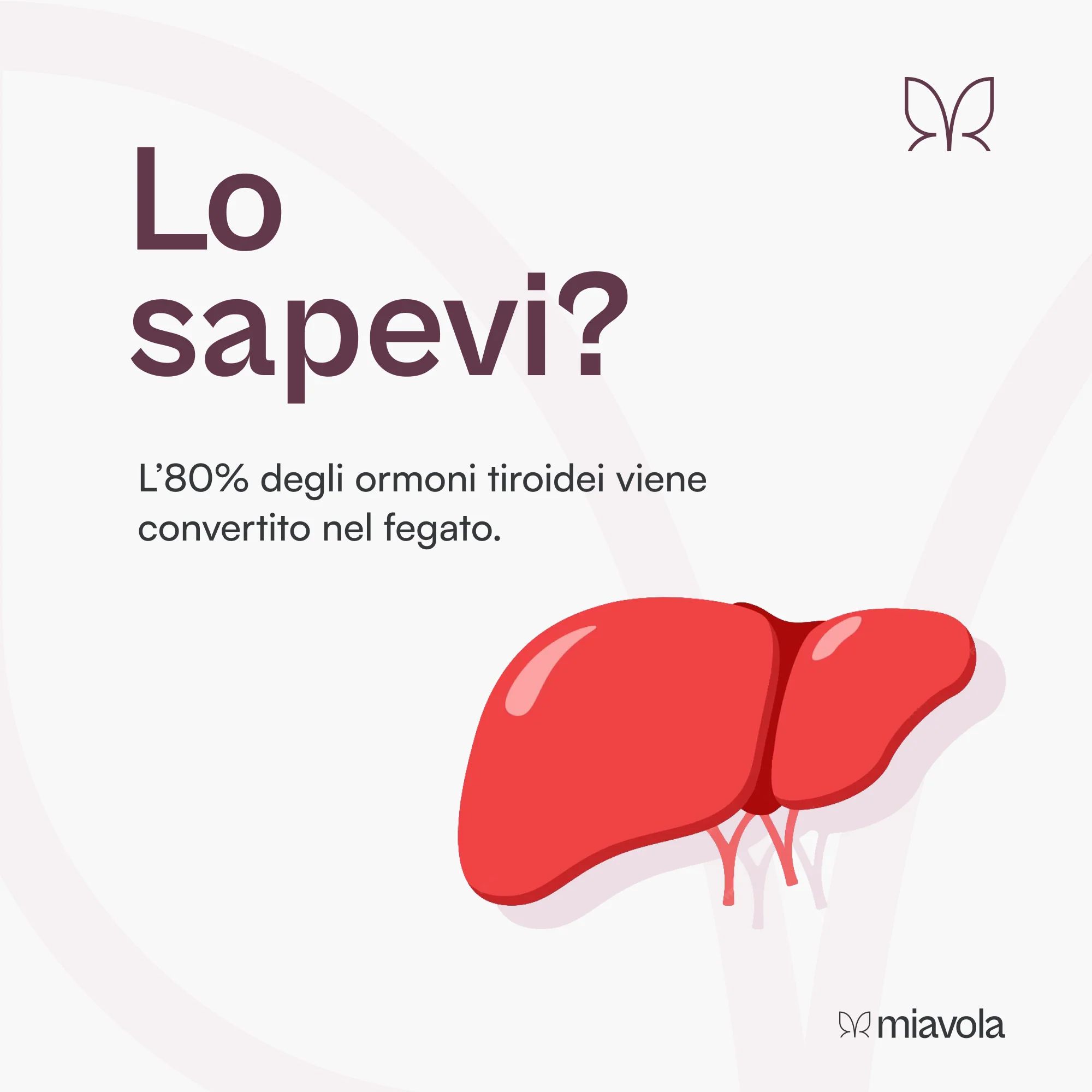 Conversol® Complesso Epatico di miavola