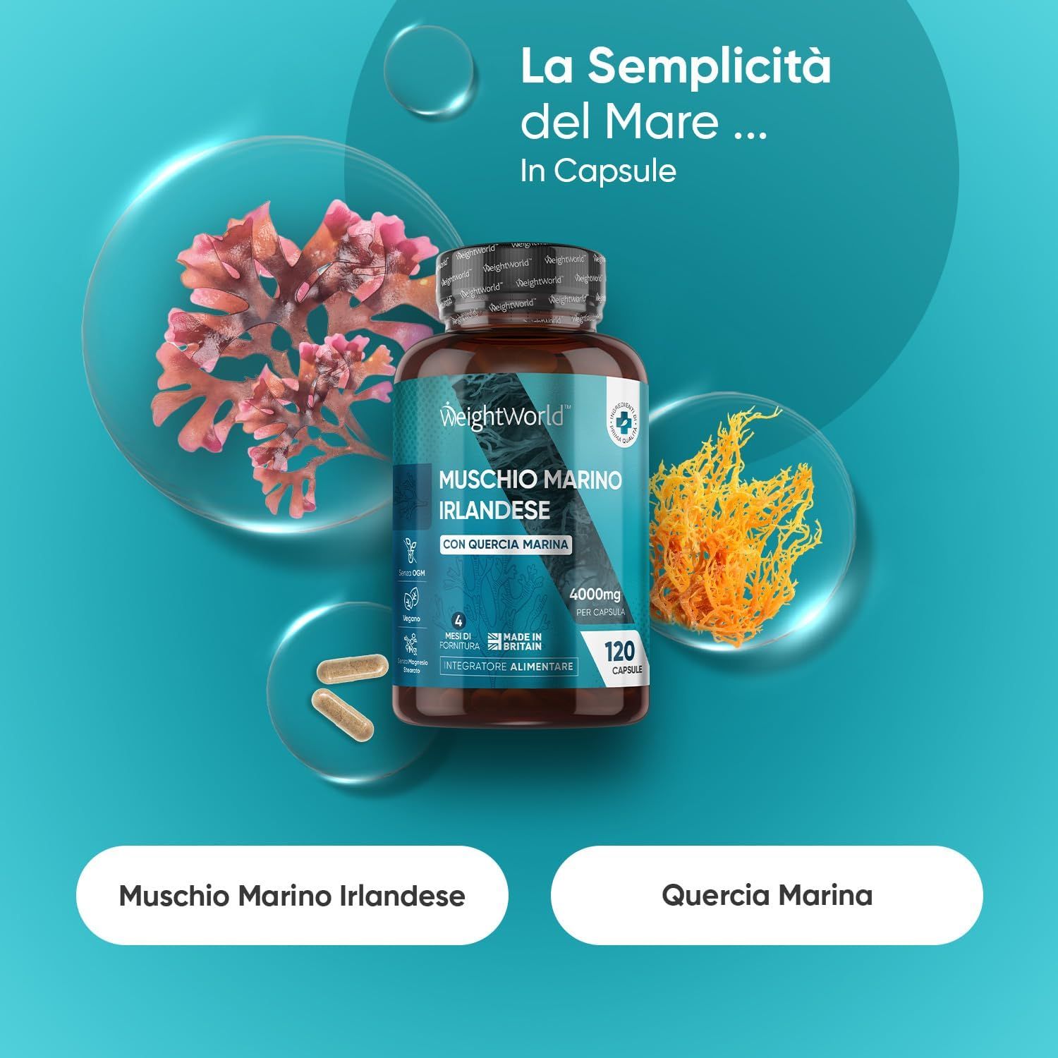 Capsule marroni e flacone di WeightWorld Muschio Marino Irlandese Kapseln. Con Quercia Marina. 120 capsule.