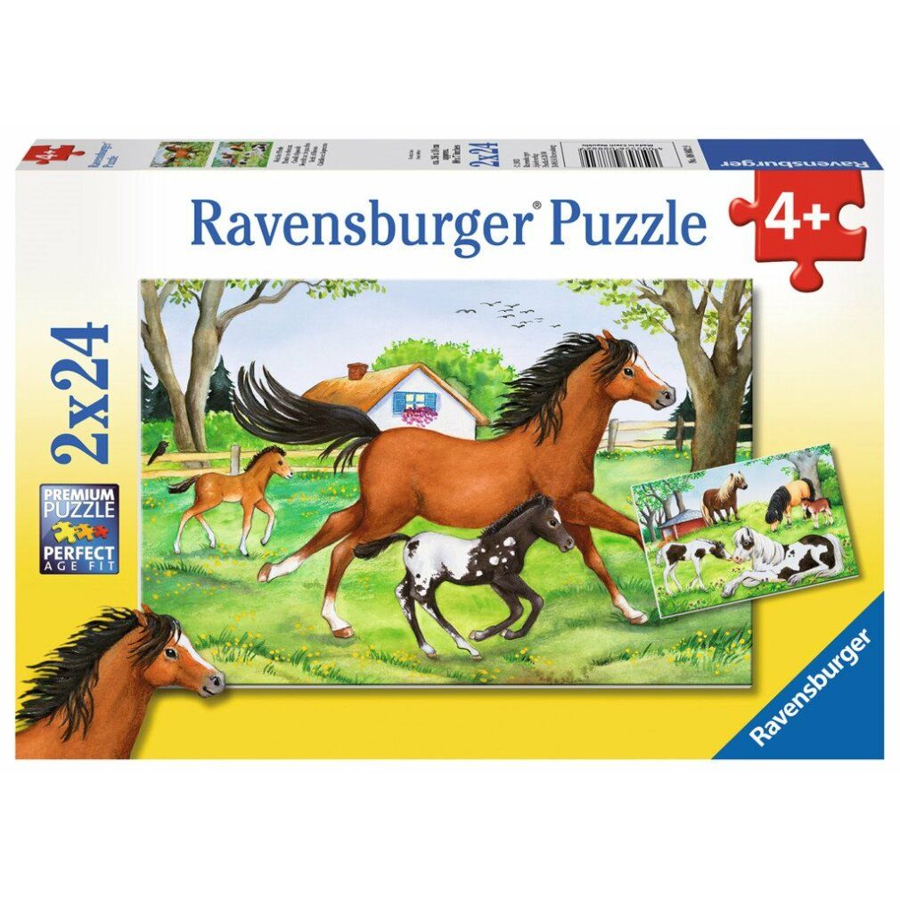 Scatola puzzle con motivo cavalli. 2x24 pezzi. Puzzle Ravensburger. Età consigliata 4+. Imballaggio mostra cavalli su prato.