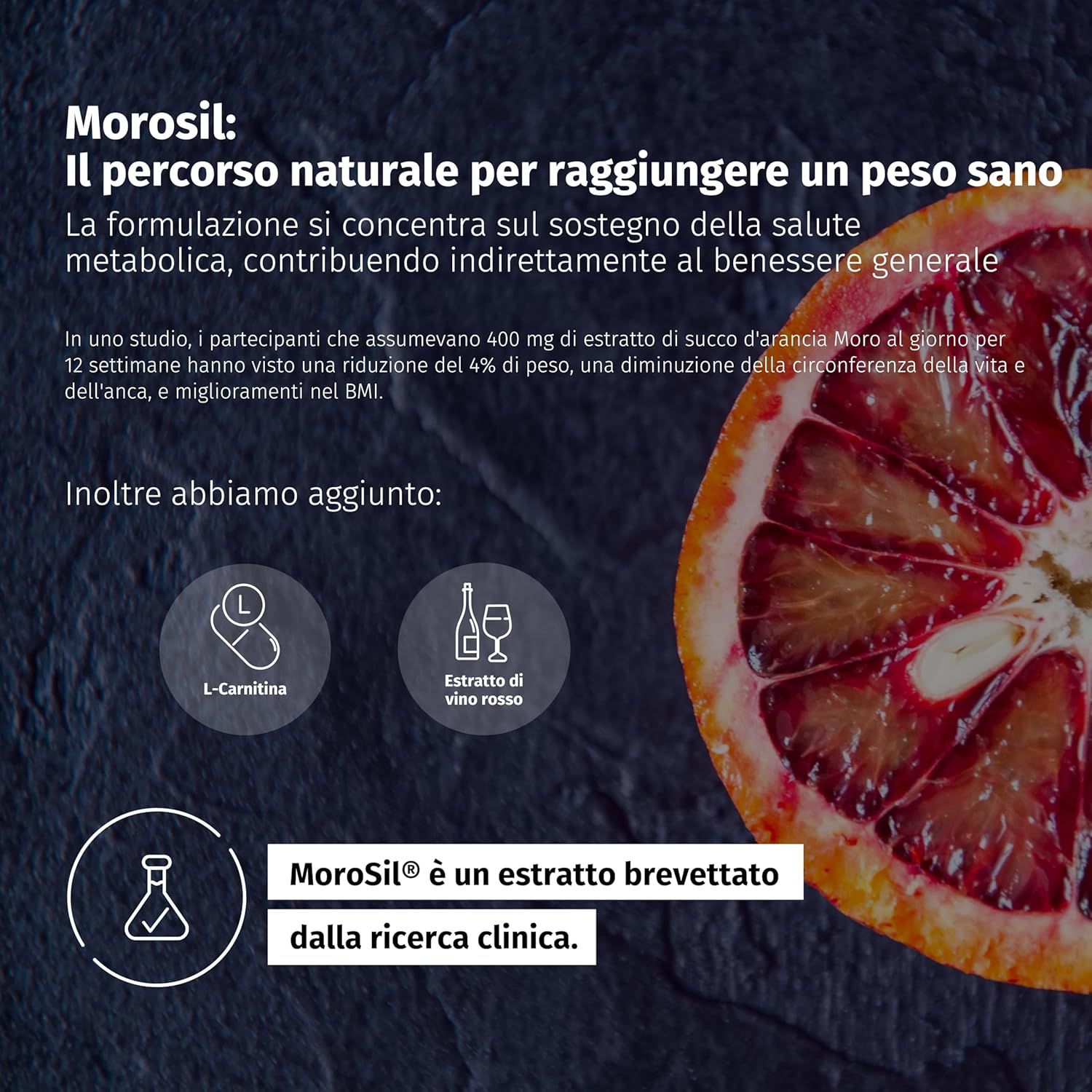 Infografica su Morosil. Testo e illustrazioni di L-carnitina ed estratto di vino rosso. Morosil è un estratto brevettato dalla ricerca clinica.