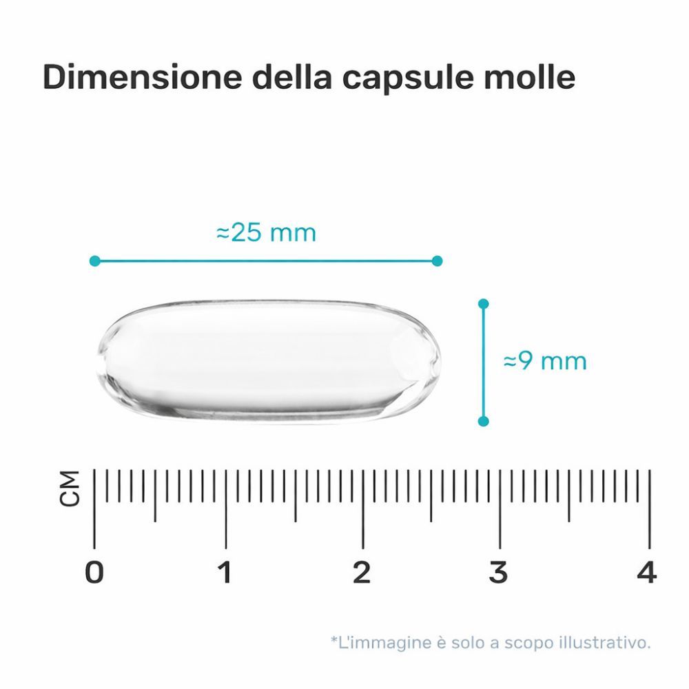Dimensioni della capsula. Diagramma lineare con dimensioni: circa 25 mm x 9 mm. L'immagine è solo a scopo illustrativo.