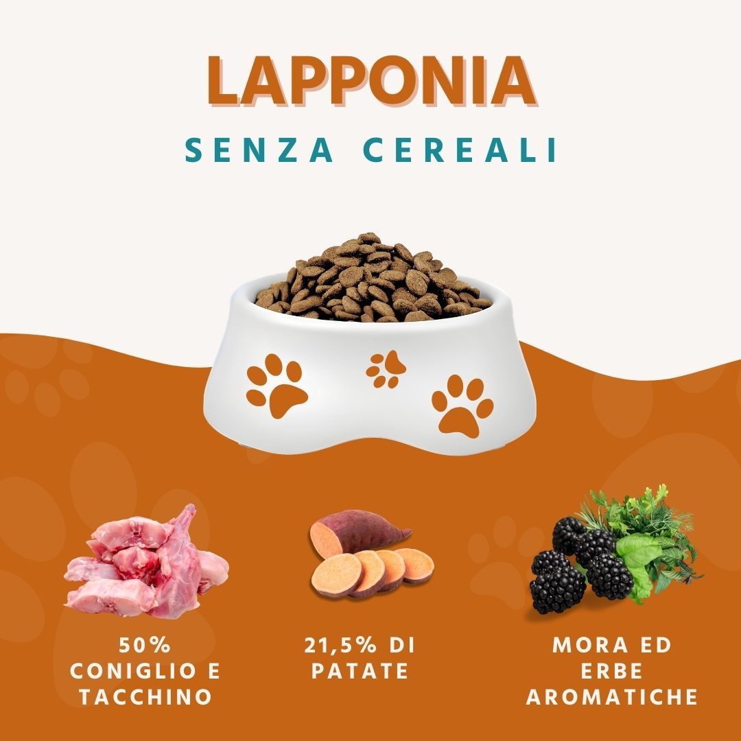 Cibo per cani in una ciotola. Contiene crocchette, coniglio, patata dolce, more ed erbe. Testo: Senza cereali.