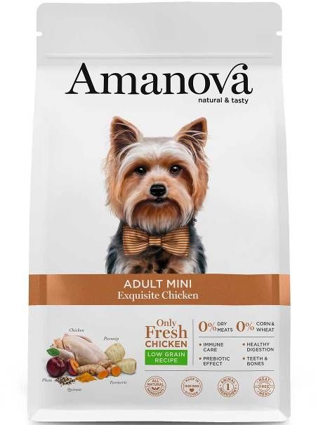 amanova adult mini dog exquisite chicken