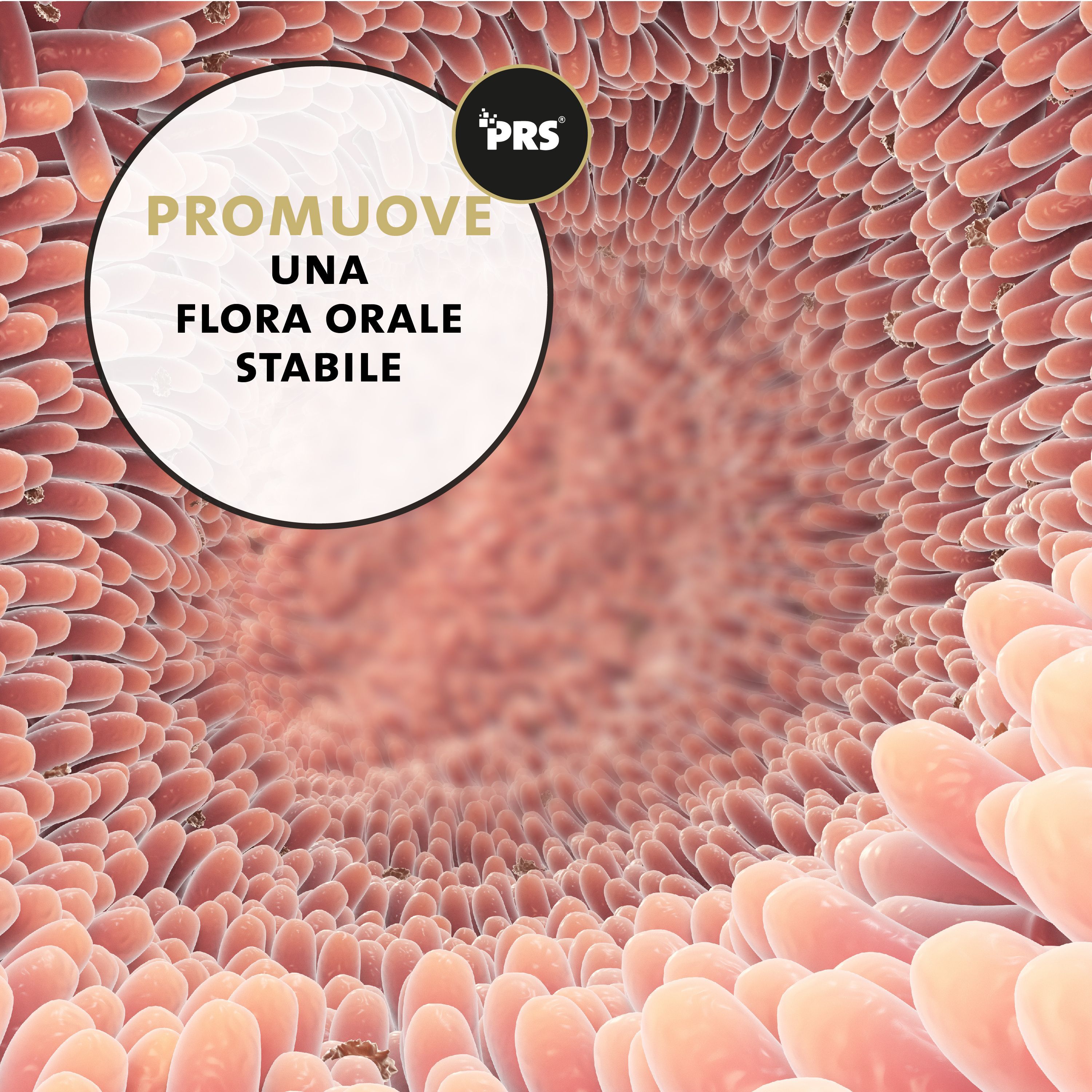 Vista interna di una bocca. Testo: «PROMUOVE UNA FLORA ORALE STABILE».