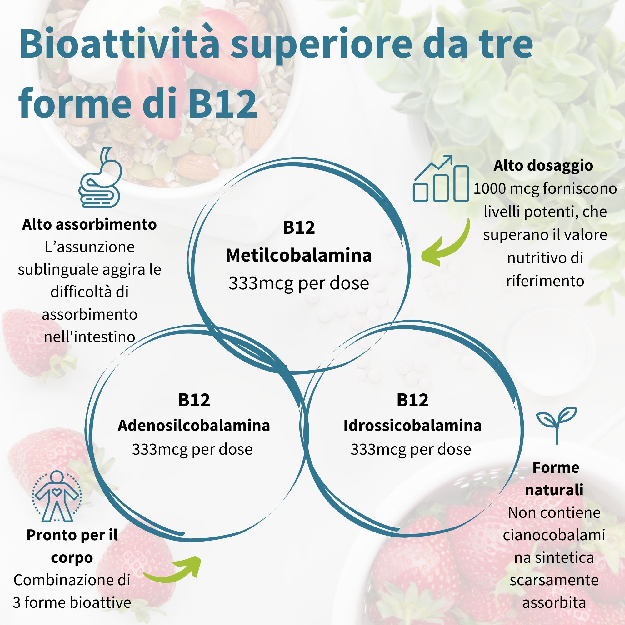 Grafico con tre cerchi. Testo: B12 metilcobalamina, adenosilcobalamina, idrossocobalamina. Dosaggio elevato.