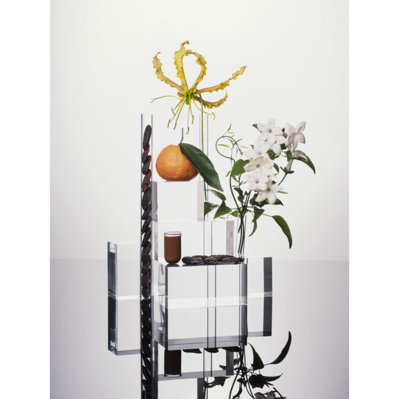 Composizione con fiori, frutta e forme geometriche. Strutture trasparenti, fiore giallo, arancia.