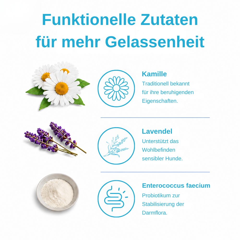 Ingredienti per snack per cani: camomilla, lavanda e Enterococcus faecium.
