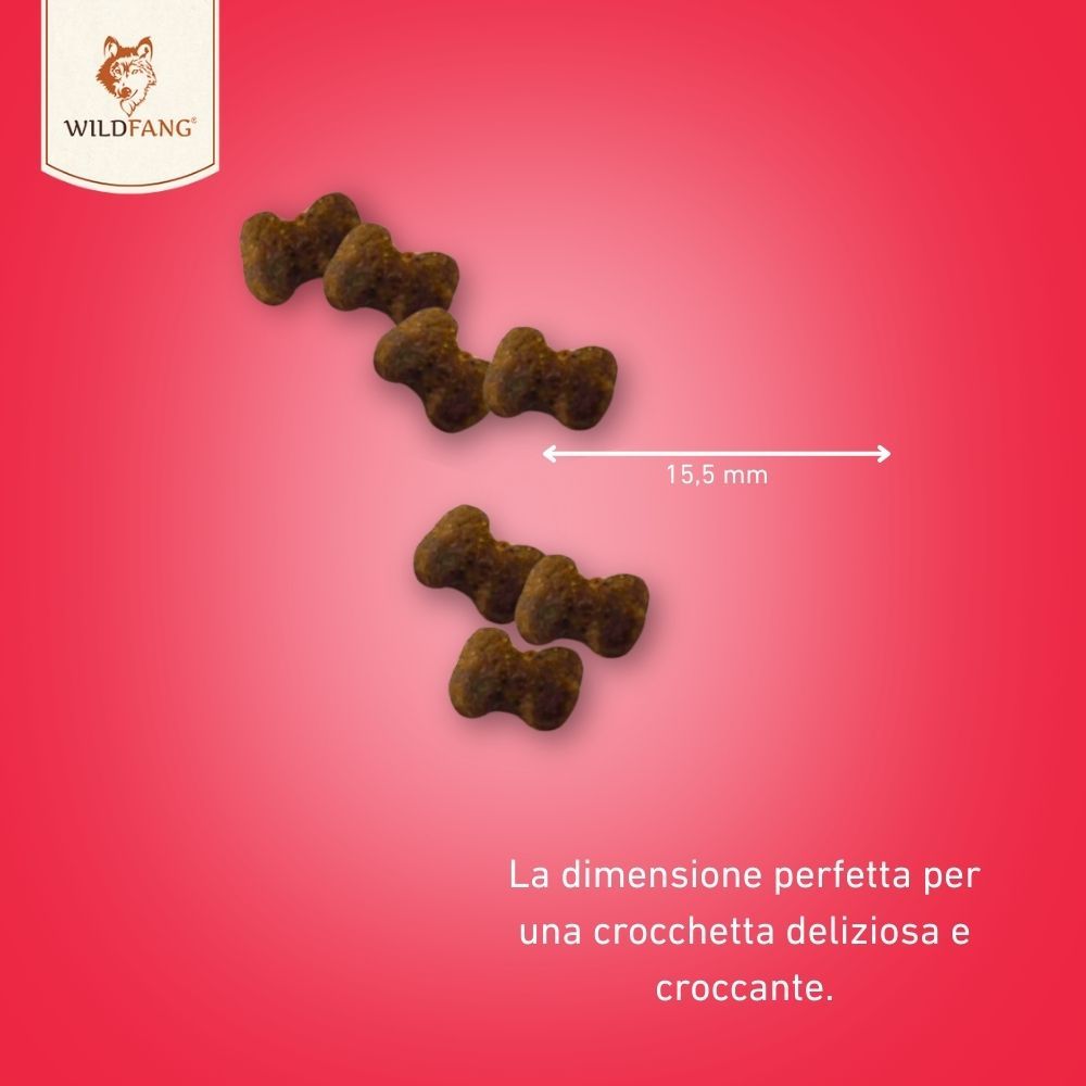 Snack a forma di osso, lunghi 15,5 mm. Sfondo rosso. Testo: La dimensione perfetta per uno snack delizioso e croccante.