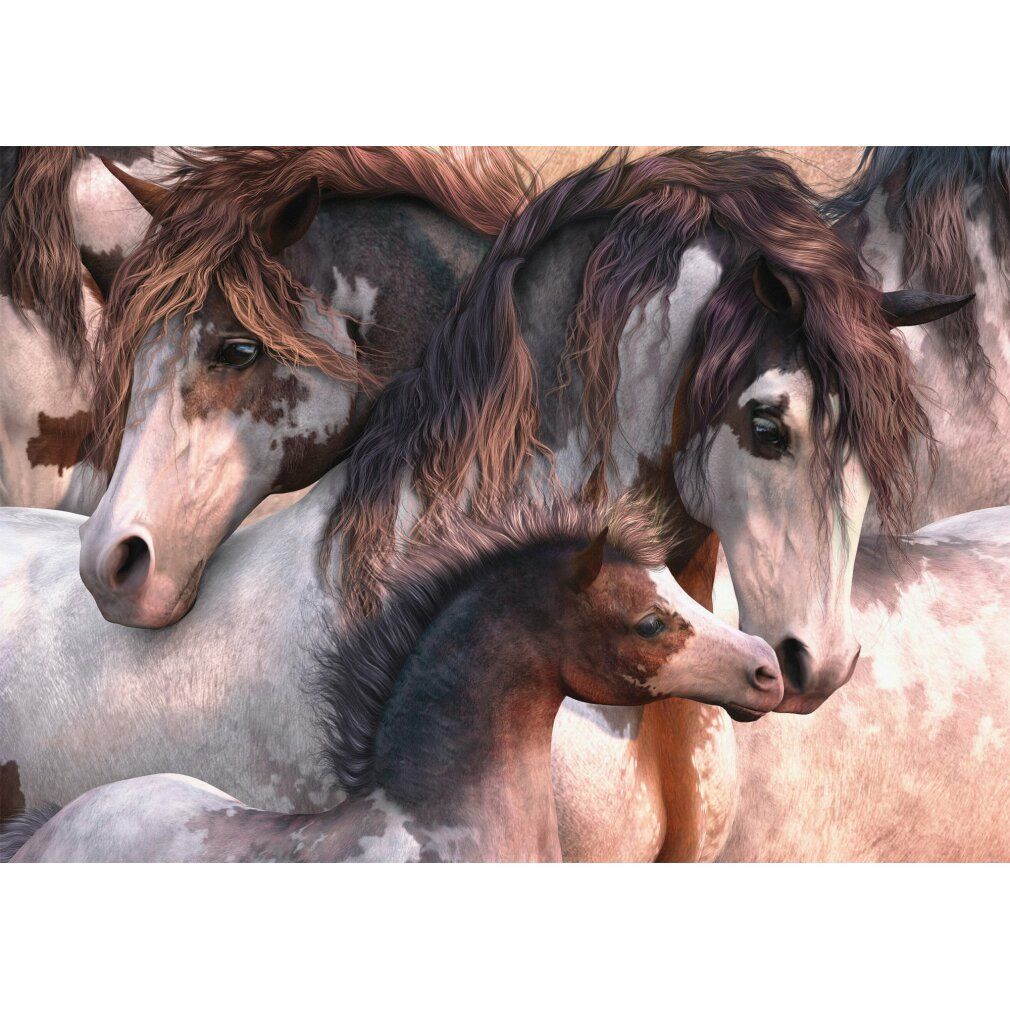 schmidt Cavallo Pinto puzzle 1000 pezzi