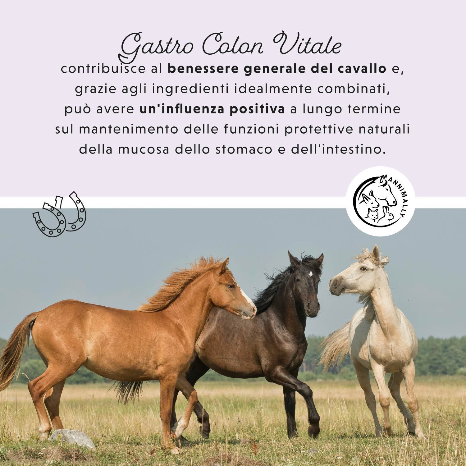 Tre cavalli sull'erba. Testo: Gastro Colon Vitale. Logo cavallo.