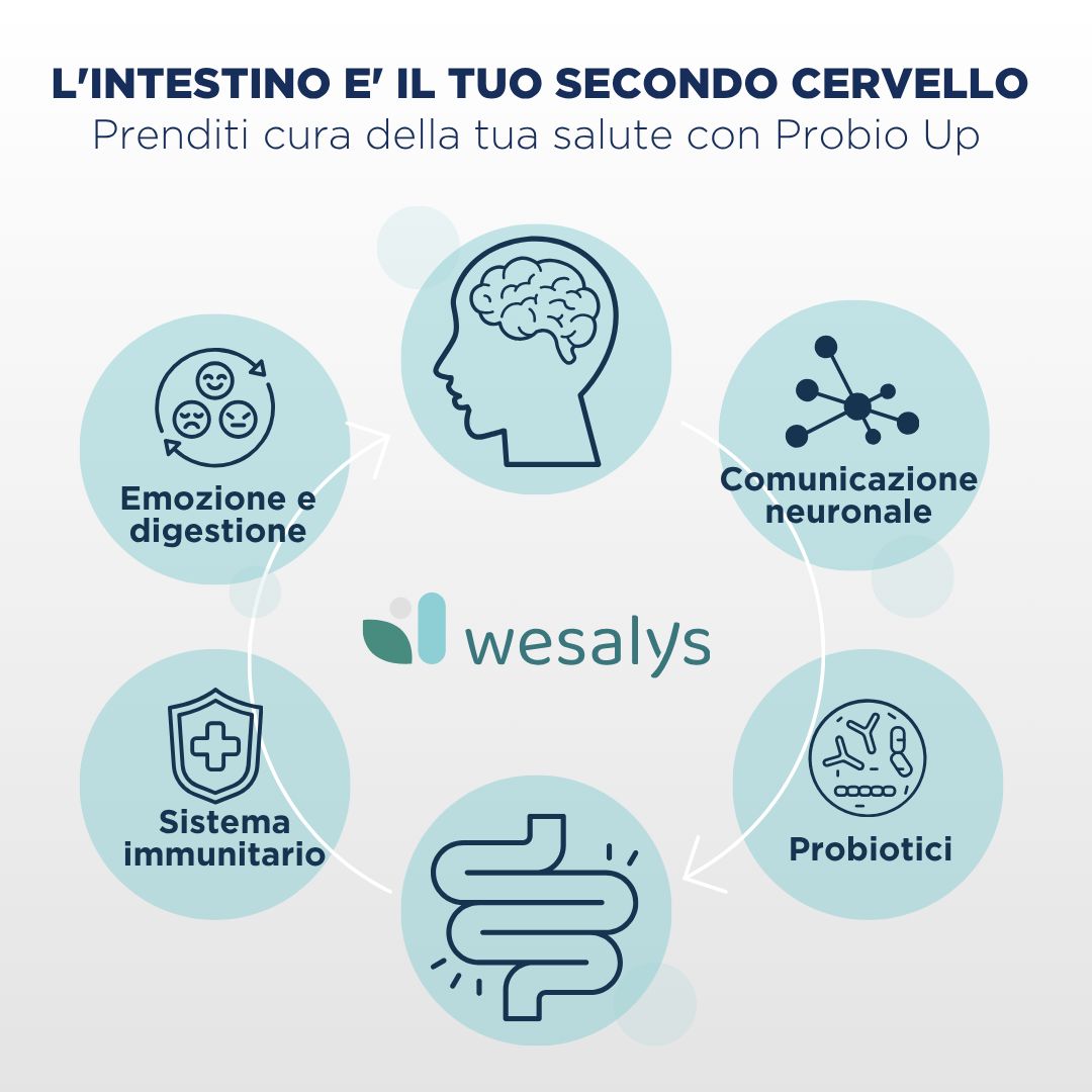 Grafica: L'intestino, il tuo secondo cervello. Illustrazioni: emozioni, sistema immunitario, comunicazione, probiotici.